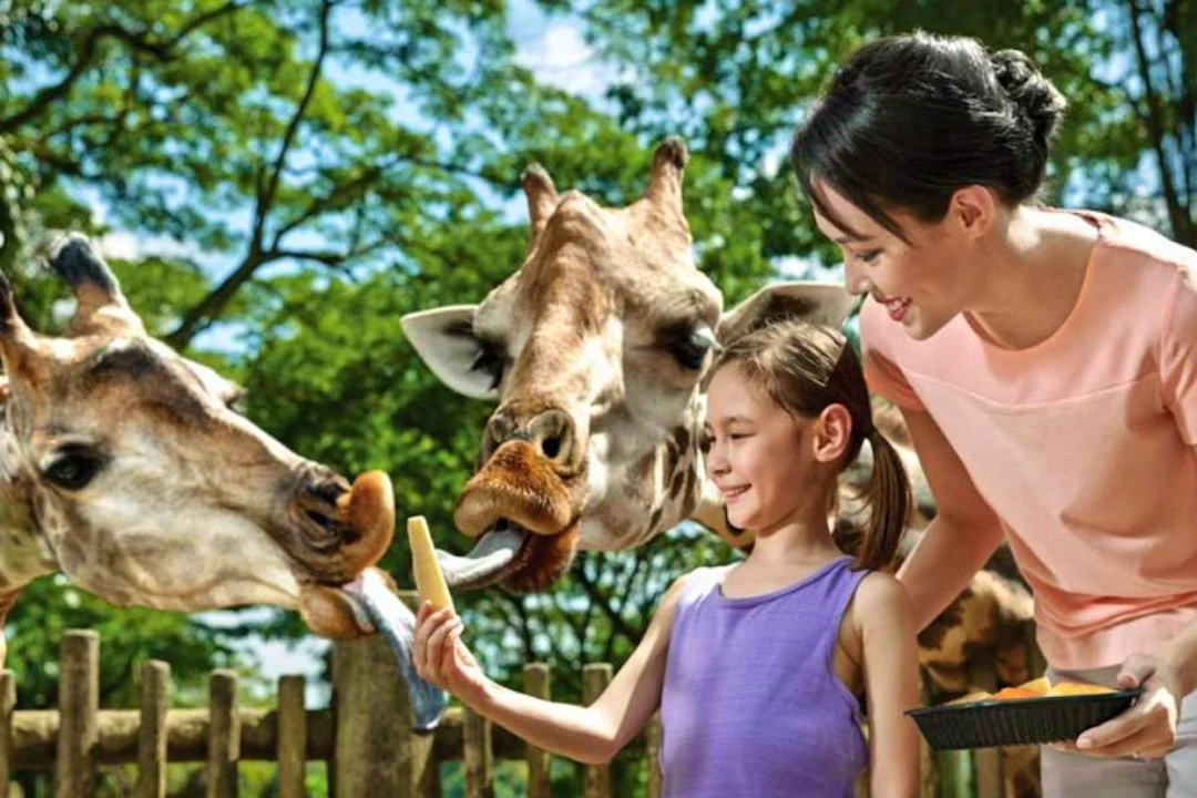 Singapore Zoo Tickets Price